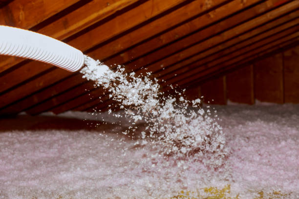 Best Geographic-Specific Insulation Services in Hedwig Village, TX