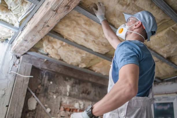 Best Blown-in Insulation in Hedwig Village, TX