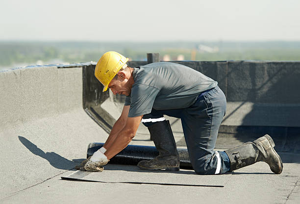 Best Commercial Insulation in Hedwig Village, TX