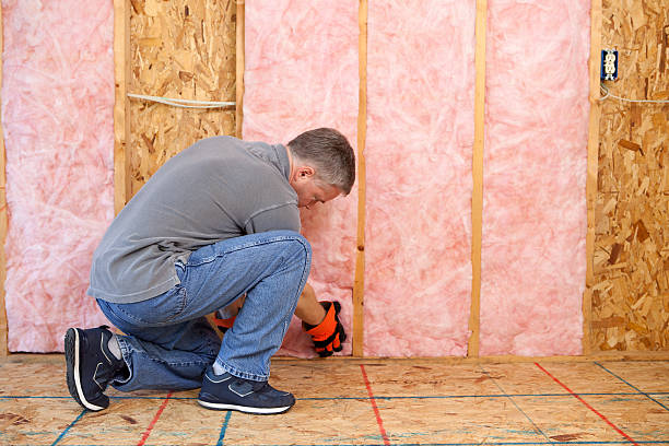 Best Insulation Maintenance and Repair in Hedwig Village, TX