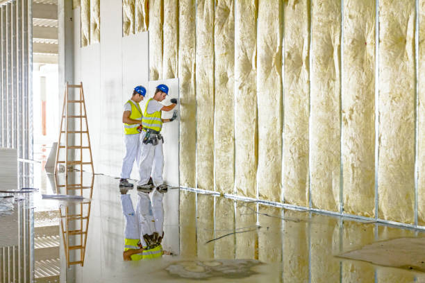 Best Energy Efficiency Insulation in Hedwig Village, TX